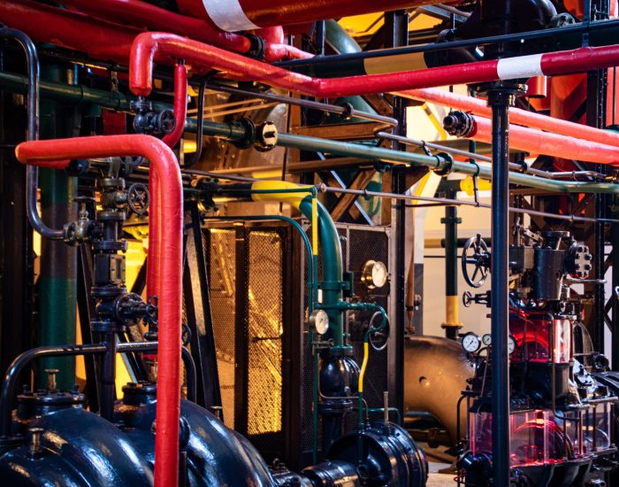 pexels-magda-ehlers-2569842